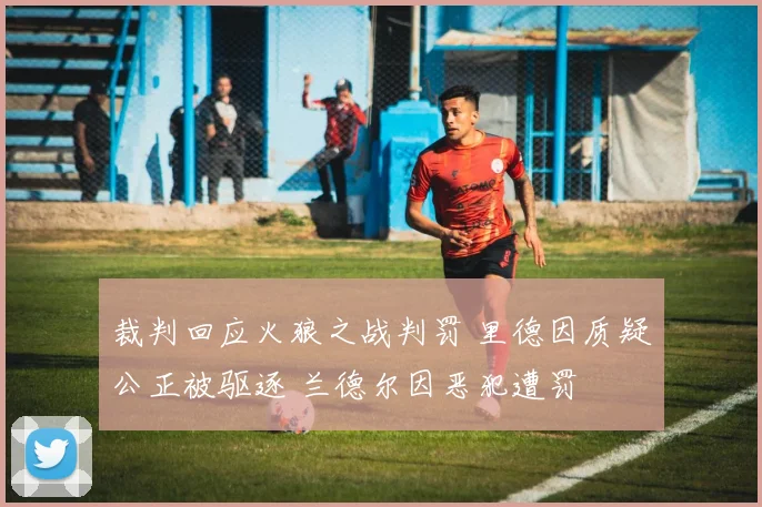 裁判回应火狼之战判罚 里德因质疑公正被驱逐 兰德尔因恶犯遭罚