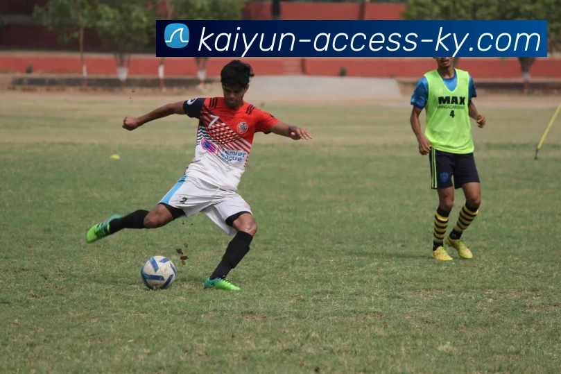 开云平台推动数字化转型助力企业创新发展与产业升级的实践与探索